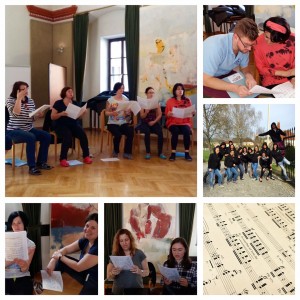 Zeillern_2016_Collage_2 Kopie